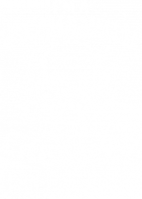 Майка чоловіча CAN'T FIX STUPID BUT CAN FIX WHAT STUPID DOES 2