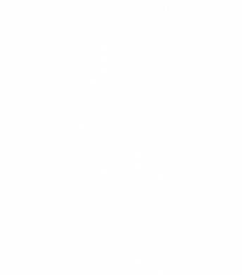 Мужская футболка Stedman Дракон. 2