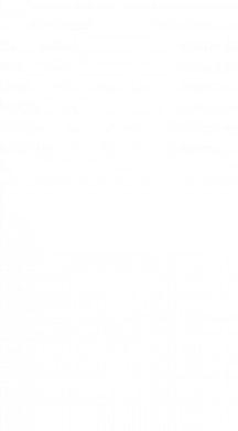 Блокнот двухцветный Берсерк аниме 2