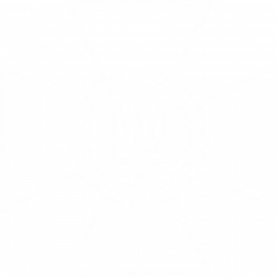 Фляга Arm ДПСУ лого 2