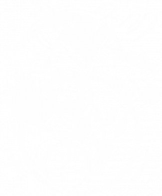 Чохол з розділу Різне Великий Лебовські для Xiaomi Redmi A1 2