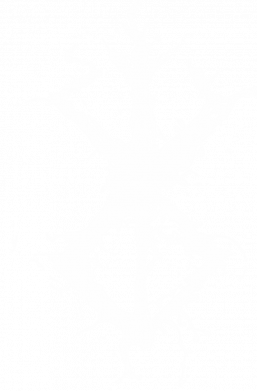 Рюкзак Compact Berserk label 2