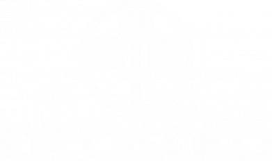 Термобутылка Viano Arasаka logo 2