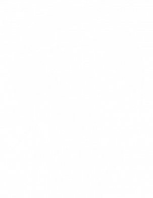 Мужская футболка Stedman Berserk Eclipse 2