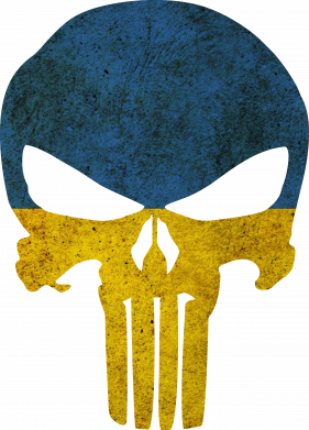 Принт Чохол для Samsung S20+ Punisher Ukraine, Фото № 2 - FATLINE