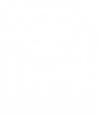 Женская футболка Space wanderer cat 2