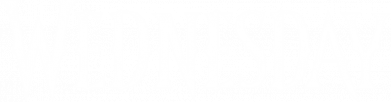 Принт Чоловіча футболка Stedman Wednesday logo, Фото № 2 - FATLINE