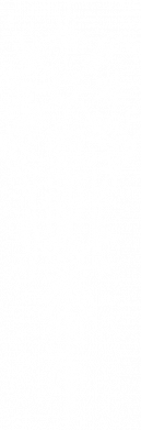 Футболка для собаки Вікінги та скандинави 2