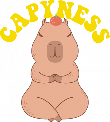 Дитяча футболка Capyness 2