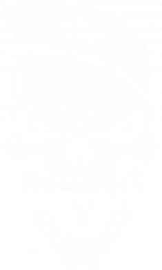 Повербанк 10000 mAh ДШВ Skull 2