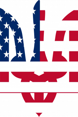 Мужская футболка Stedman Україна+США 2