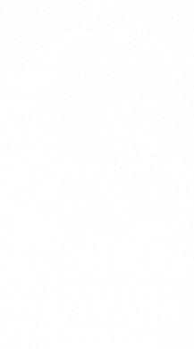 Шопер Капібара на велосипеді 2