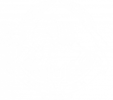 Худі унісекс КССО вовк 2