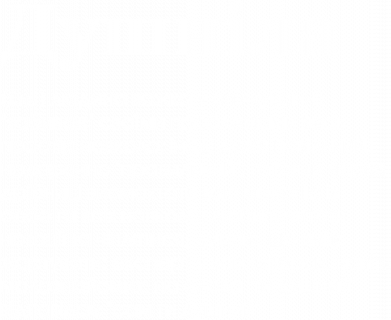 Чехол из раздела Прикольные надписи Душнила обыкновенный для Apple iPhone 15 Pro 2