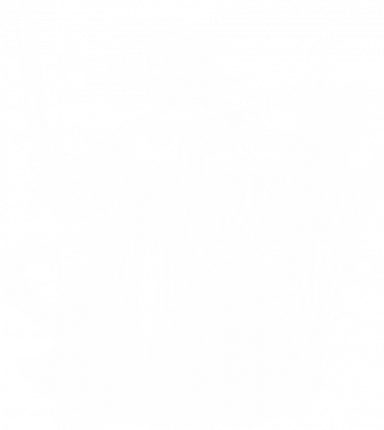 Мужские шорты Козачка с мечом и щитом 2