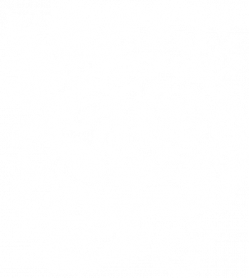 Футболка оверсайз FATLINE черепа и розы 2