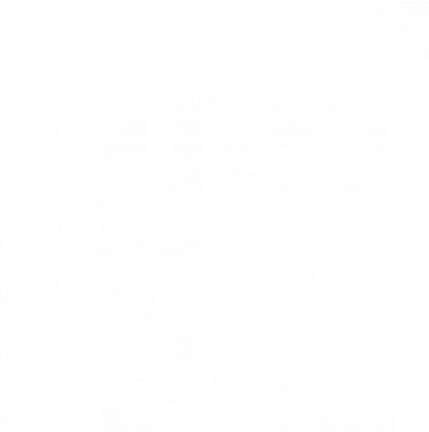 Жіноча футболка Валькірія слов'янський символ 2