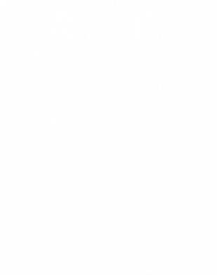 Принт Термочашка Bliss MMA, Фото № 2 - FATLINE