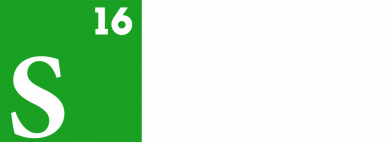 Чехол из раздела Прикольные надписи Сергей для Oppo Reno 5 4G 2