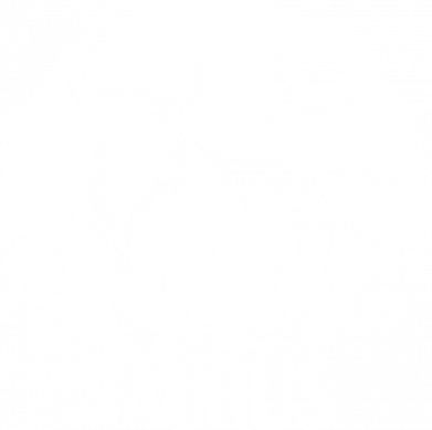 Штаны Taurus sign 2
