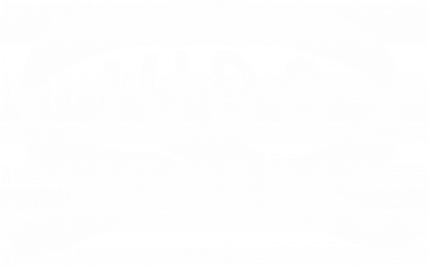 Мужская футболка Stedman Judo Master 2