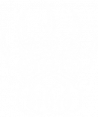 Мужская футболка Stedman Печать Велеса славянский символ 2