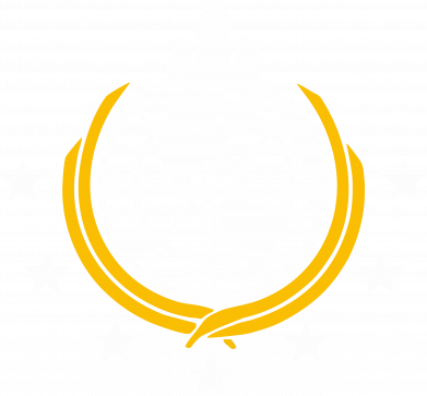 Женская футболка Super Earth Flag 2