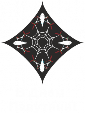 Термобутылка Viano С Днем паутины! Дроны и паутина. 2