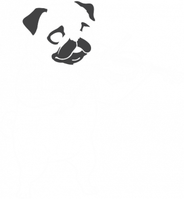 Худи оверсайз Мопс играет на скрипке 2