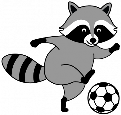 Худі утеплене Єнот-футболіст: ось це так гол! 2