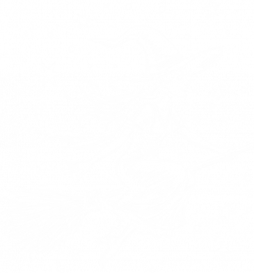 Футболка преміум жіноча FATLINE Мультяшна відьма в капелюсі на метлі 2