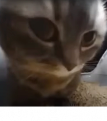 Кепка тай-дай Chipi-Chipi 2