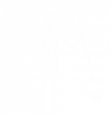 Чехол из раздела Черепа FOG Forward для Samsung S21 2