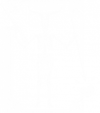 Чоловіча футболка Stedman FOG Forward Skeleton 2