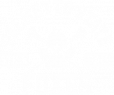 Футболка преміум жіноча FATLINE Palmetto State Foxes 2