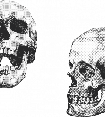 Футболка с длинным рукавом Humanity 2