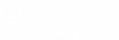 Худі для собаки Інженер 2