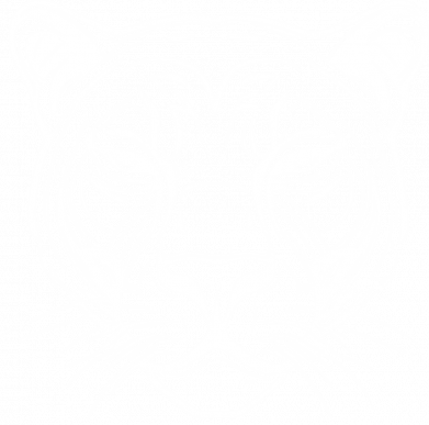 Мужская худи на молнии Тигр 2