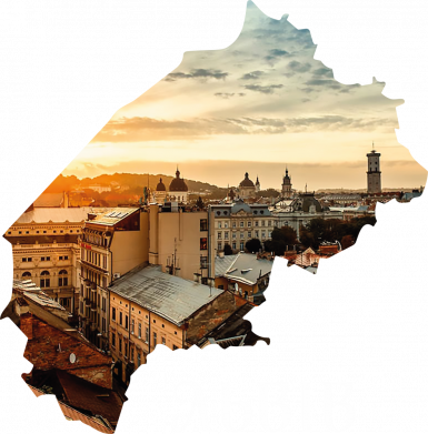 Чоловіча худі Місто Львів 2