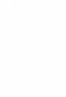 Бутылка металлическая Jumbo Malinois 2