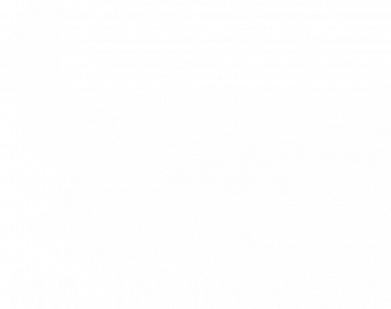 Бутылка металлическая Jumbo Malinois mom 2