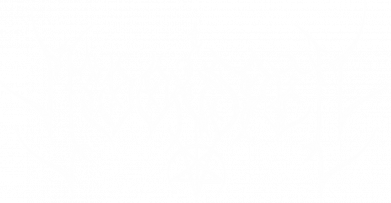 Мужская футболка Gildan Moonspell 2