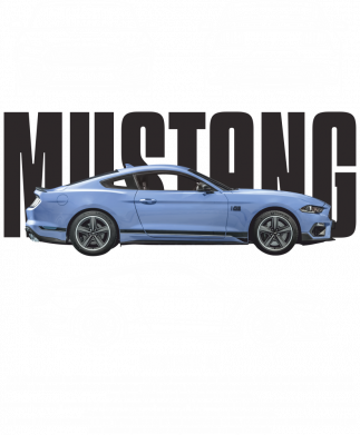 Худи премиум мужская Ford Mustang GT 2