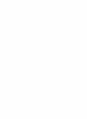 Футболка оверсайз FATLINE Death to cats! 2