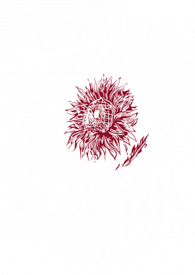 Світшот унісекс TM Gildan Сонце України 2