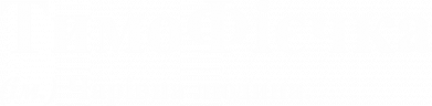 Принт Чоловіча футболка Stedman ТимоФієчка, Фото № 2 - FATLINE