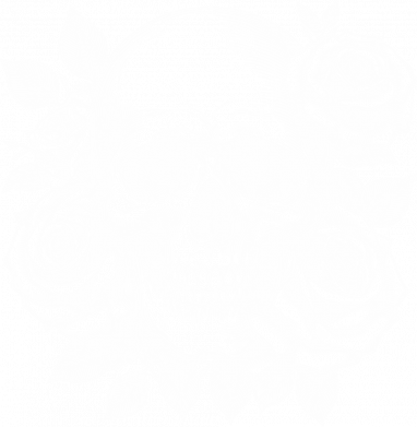 Чехол из раздела Авторские принты череп в розах для Apple iPhone 15 Pro Max 2