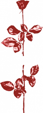 Чехол из раздела Depeche Mode Violator для Apple iPhone 15 Plus 2