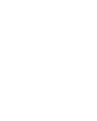 Жіноча футболка Герб України "Арт" 2