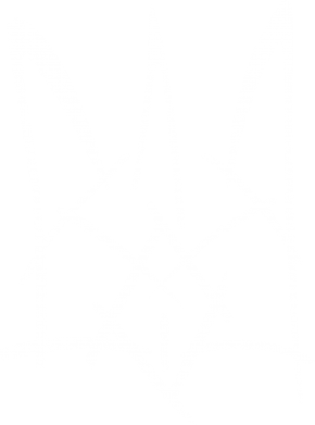 Женская футболка Молодіжний герб 2